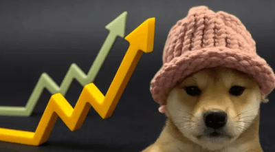 🐶 WIF (dogwifhat): 2025 Outlook & Market Analysis